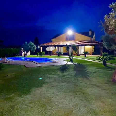 Giardino Tra Gli Ulivi *