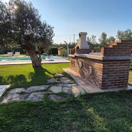 Giardino Tra Gli Ulivi