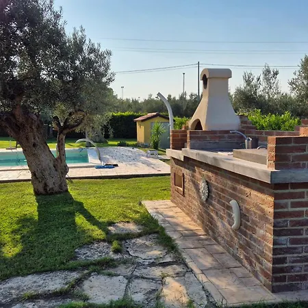 Giardino Tra Gli Ulivi