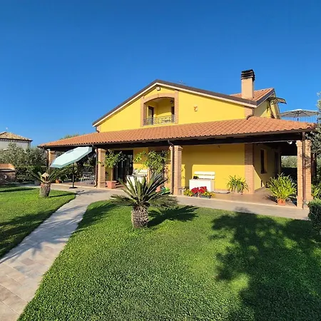 Giardino Tra Gli Ulivi *