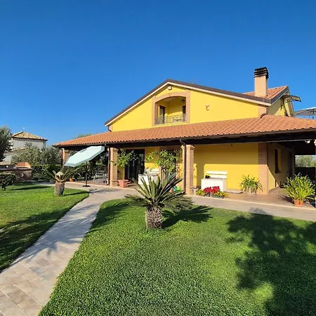 Giardino Tra Gli Ulivi