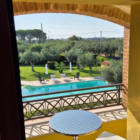 Giardino Tra Gli Ulivi