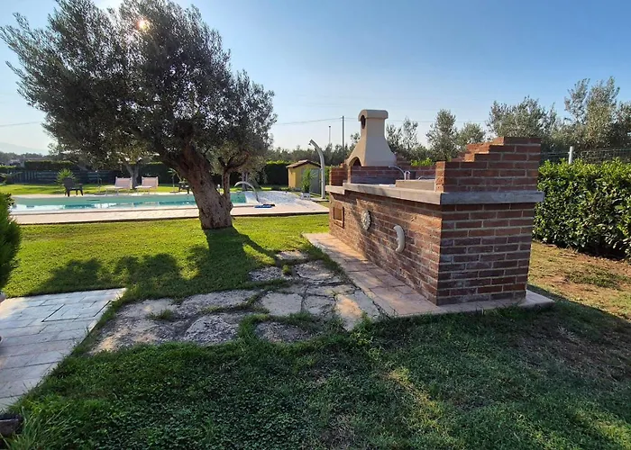 Giardino Tra Gli Ulivi